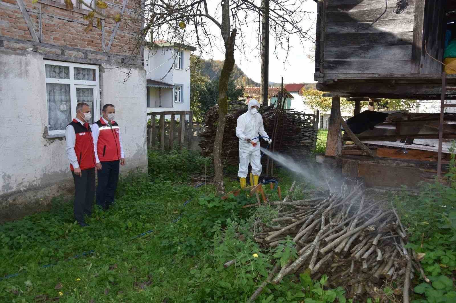 Ordu’da kokarcaya karşı 330 bin kışlak ilaçlanacak
