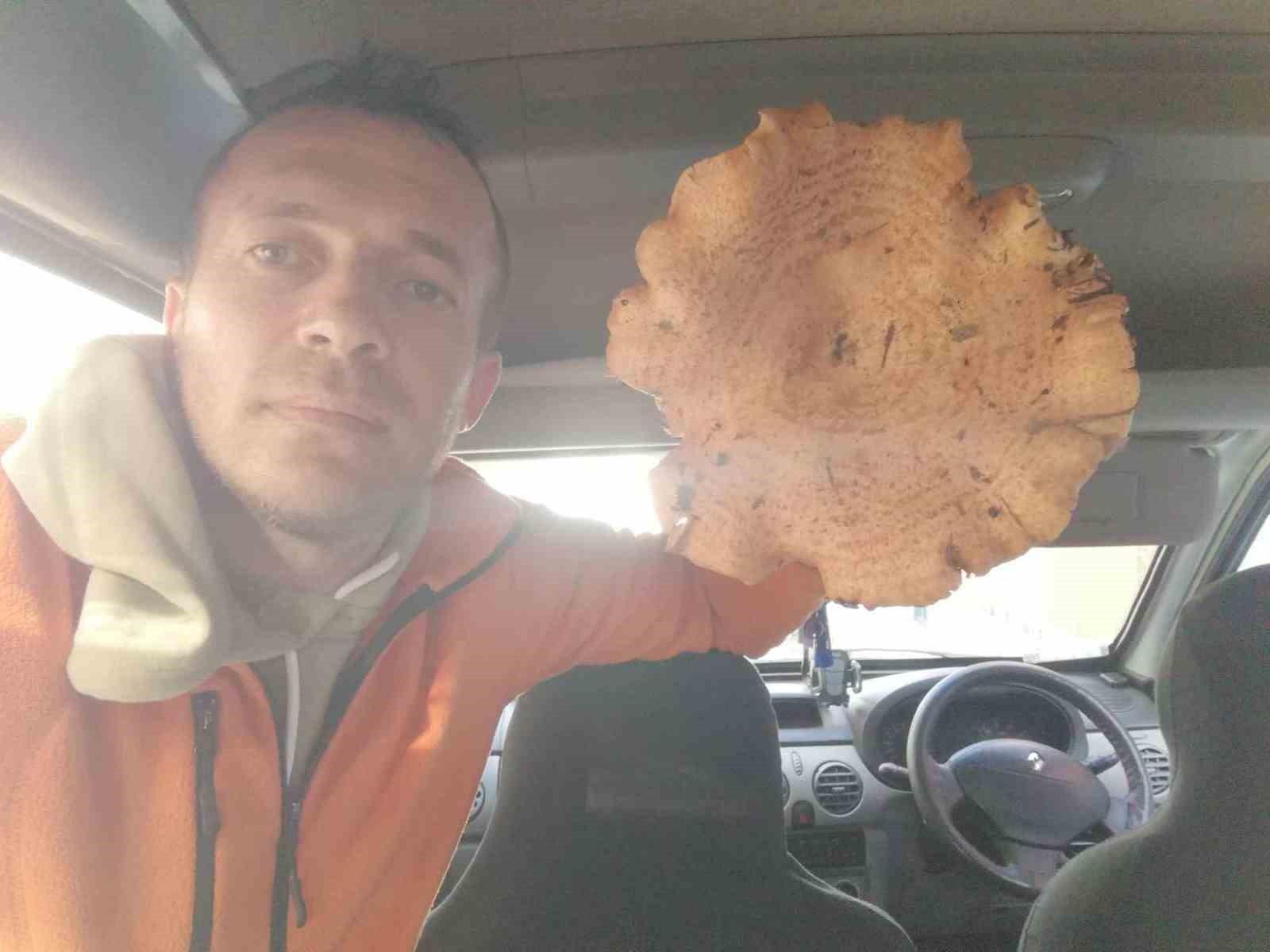 Kütahya’da bulunan dev mantar şaşırttı