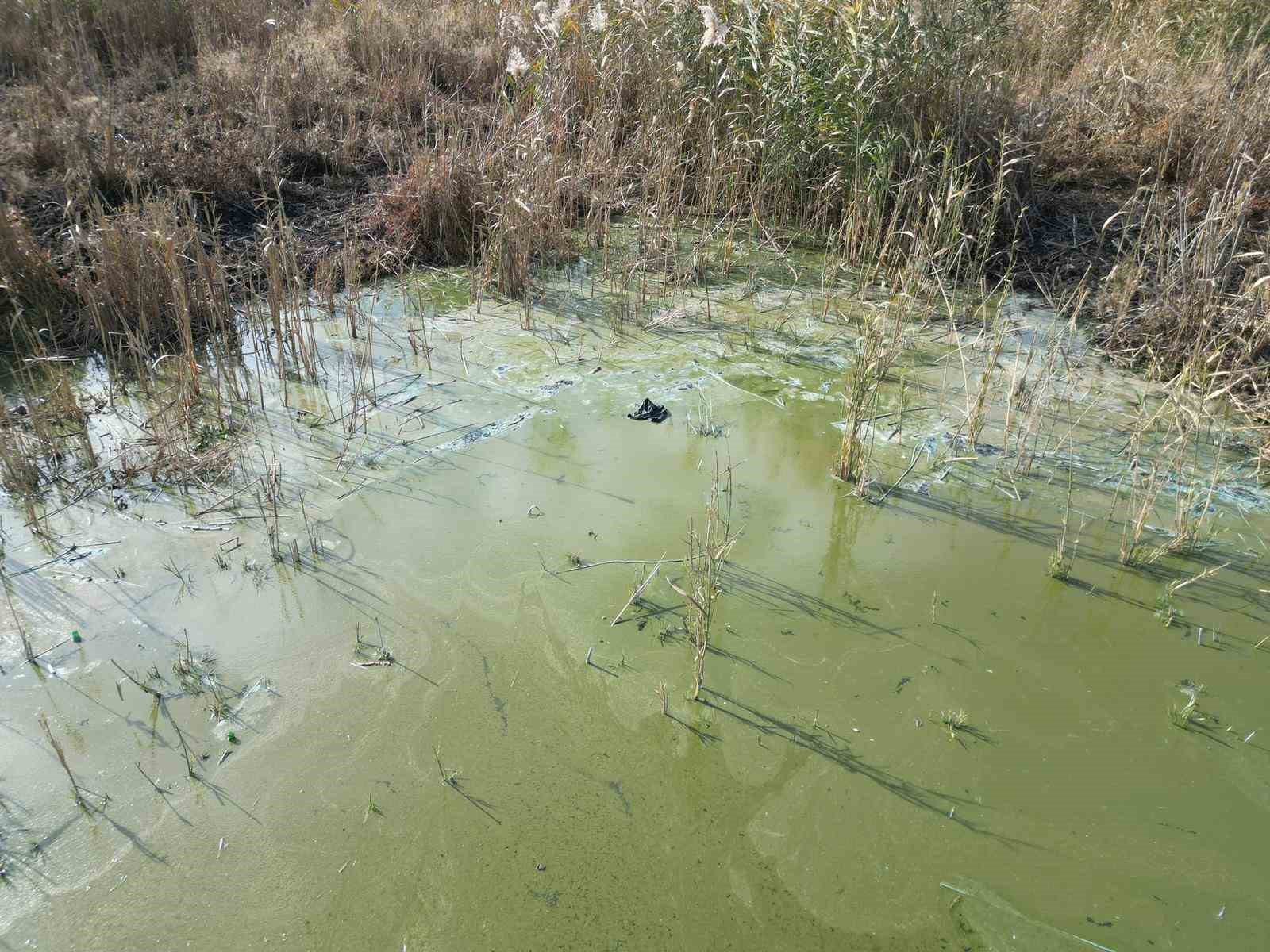 Eber Gölü şimdi de kirlilik ile gündemde