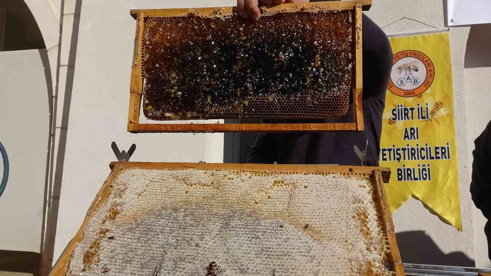 Siirt’te arıcılara 268 milyon 765 bin liralık destek