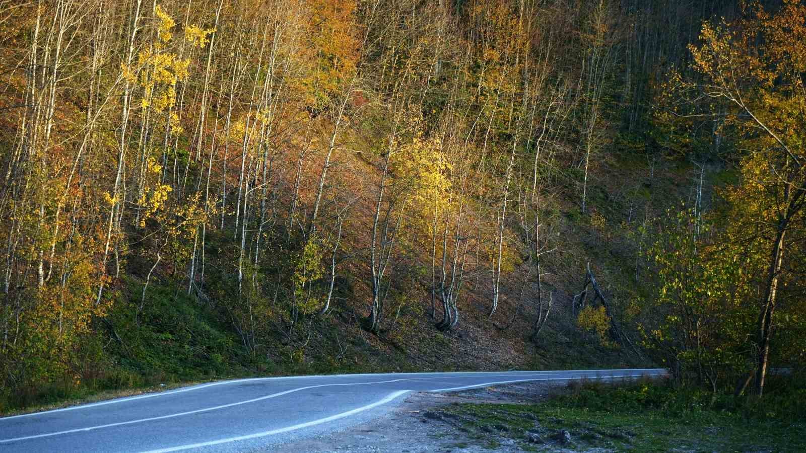 Sonbaharın renkleri &Ccedil;am Dağı&rsquo;nı baştan sona sardı
