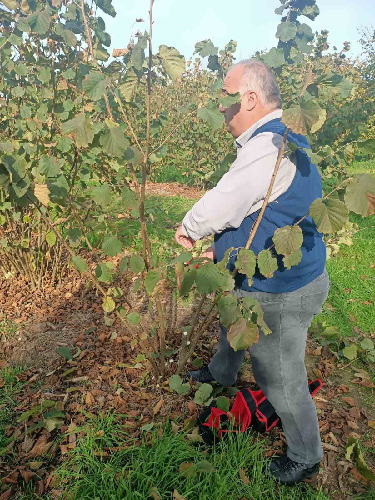 Bahçelerde toprak analizi ve zararlı tespiti