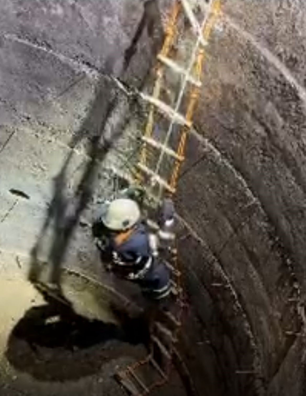 Su kuyusuna düşen çakalı itfaiye ekipleri kurtardı