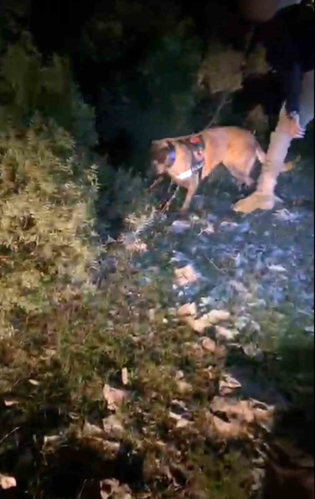 Muğla’da piyasa değeri 4 milyon TL olan uyuşturucu ele geçirildi