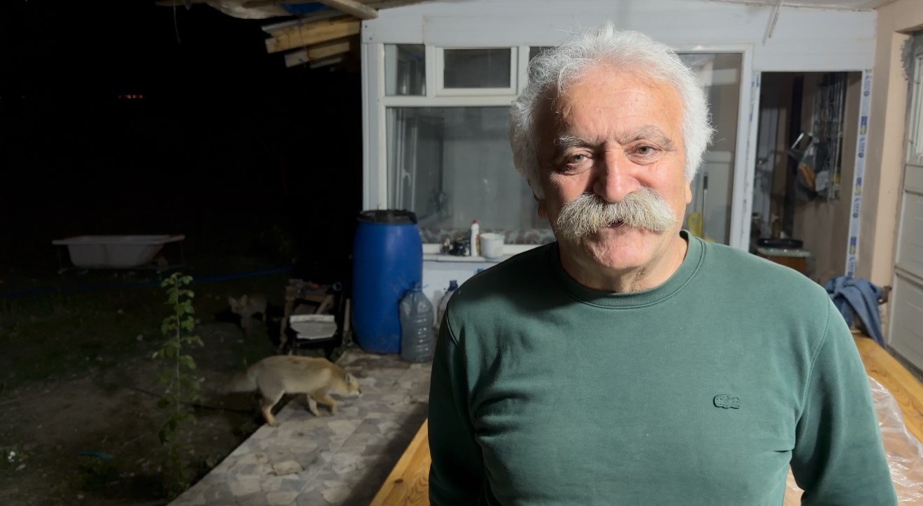 Tilki ailesi her akşam yemek için bağ evine geliyor
