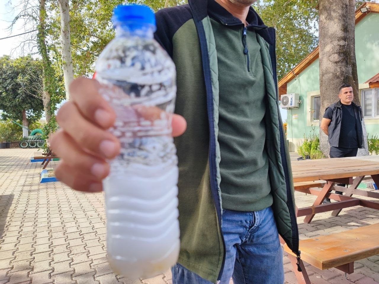 Bu ceviz yenmiyor, temizliyor, cildi güzelleştiriyor