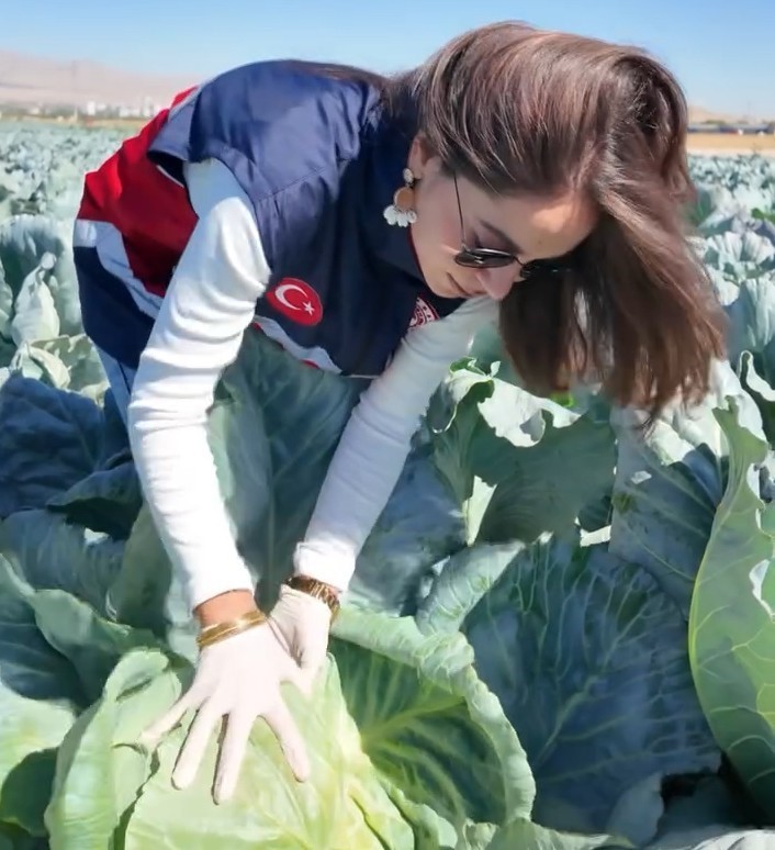 Niğde’de lahana tarlalarında pestisit denetimi yapıldı