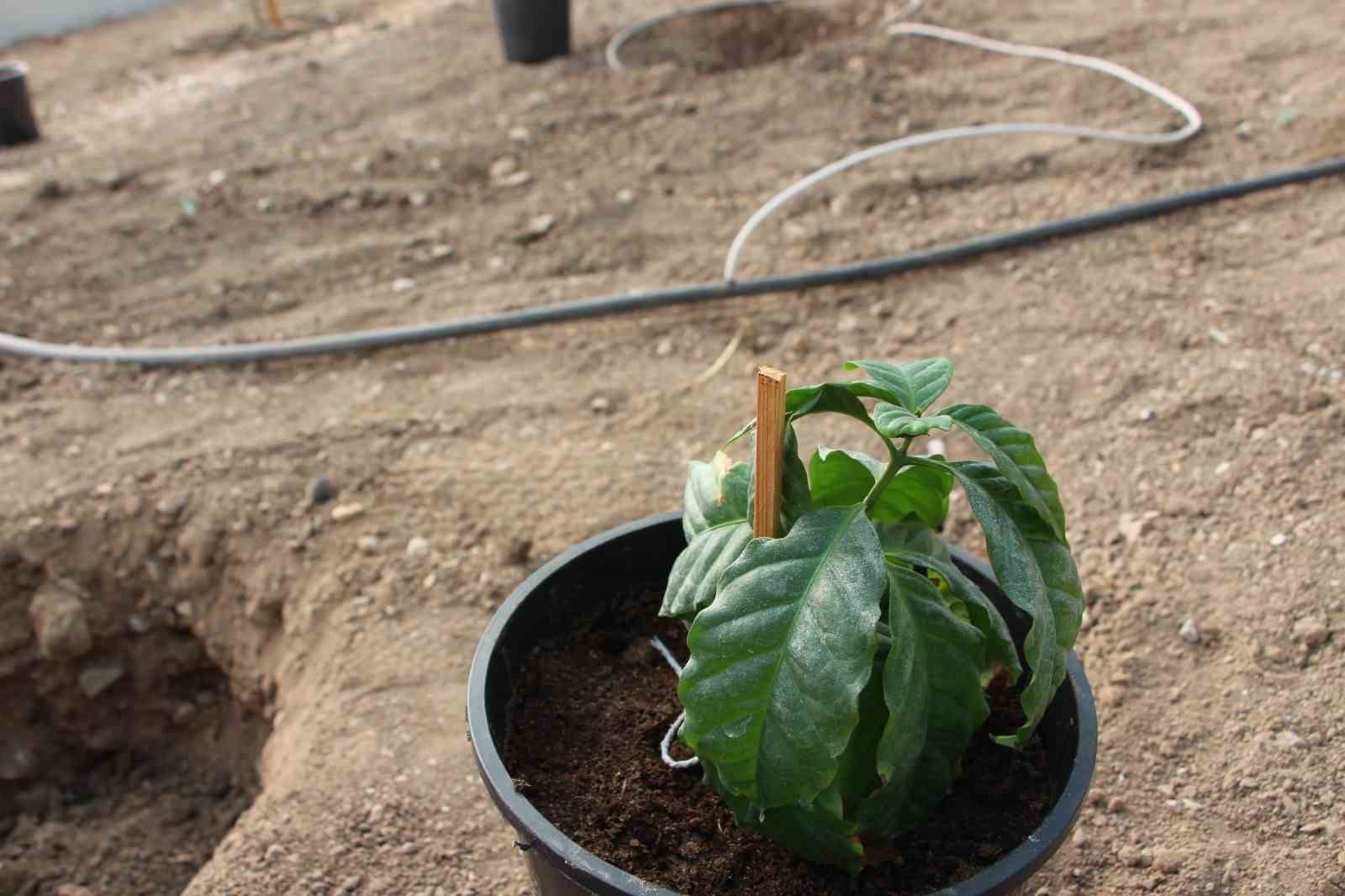 &Ccedil;ocuklara hem teorik hem uygulamalı eğitim
