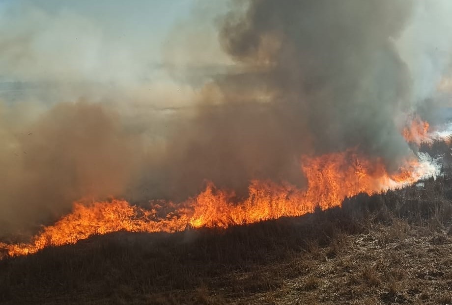 Beyşehir’de sazlıklar alev alev yandı