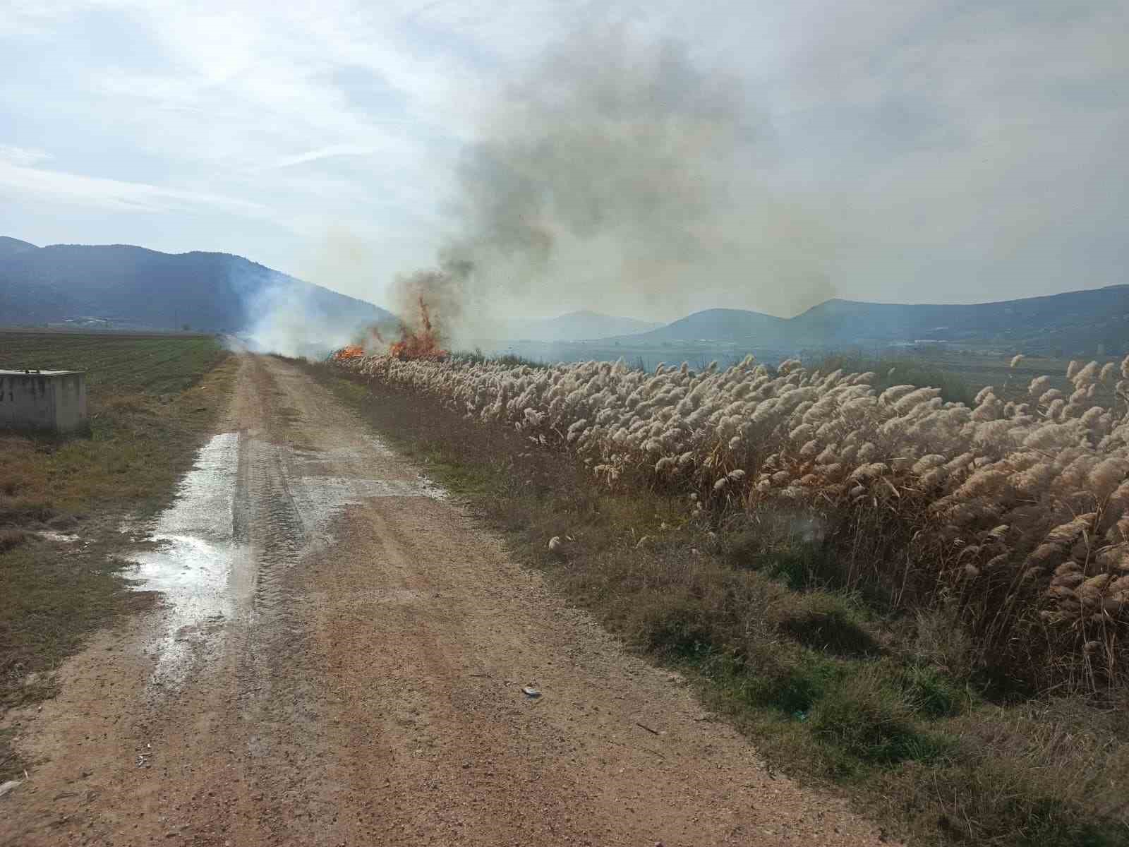 Bucak’ta sazlık alanda yangın