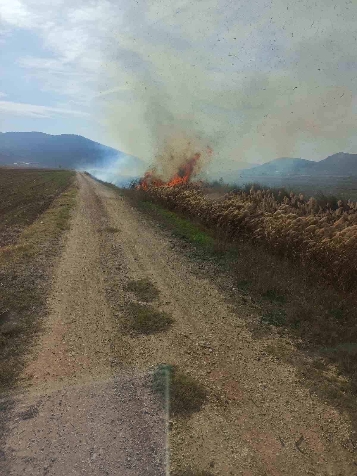 Bucak’ta sazlık alanda yangın
