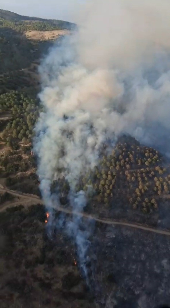 Ziraat alanında başlayan yangın ormana sıçradı
