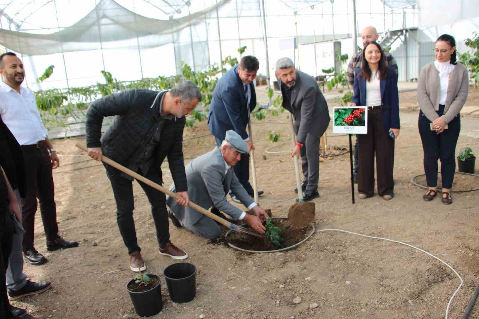 Kahve sadece adıyla değil üretimiyle de Türk olacak