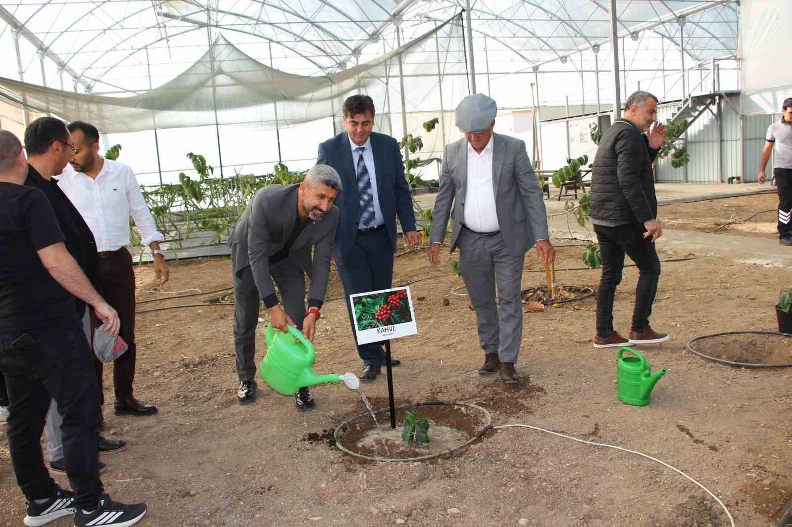 Kahve sadece adıyla değil &uuml;retimiyle de T&uuml;rk olacak

