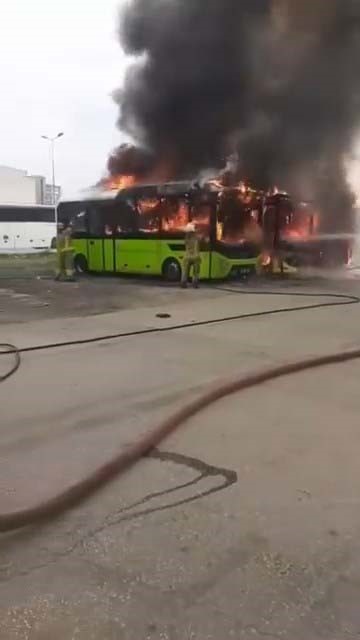 Park halindeki otobüsler cayır cayır yandı
