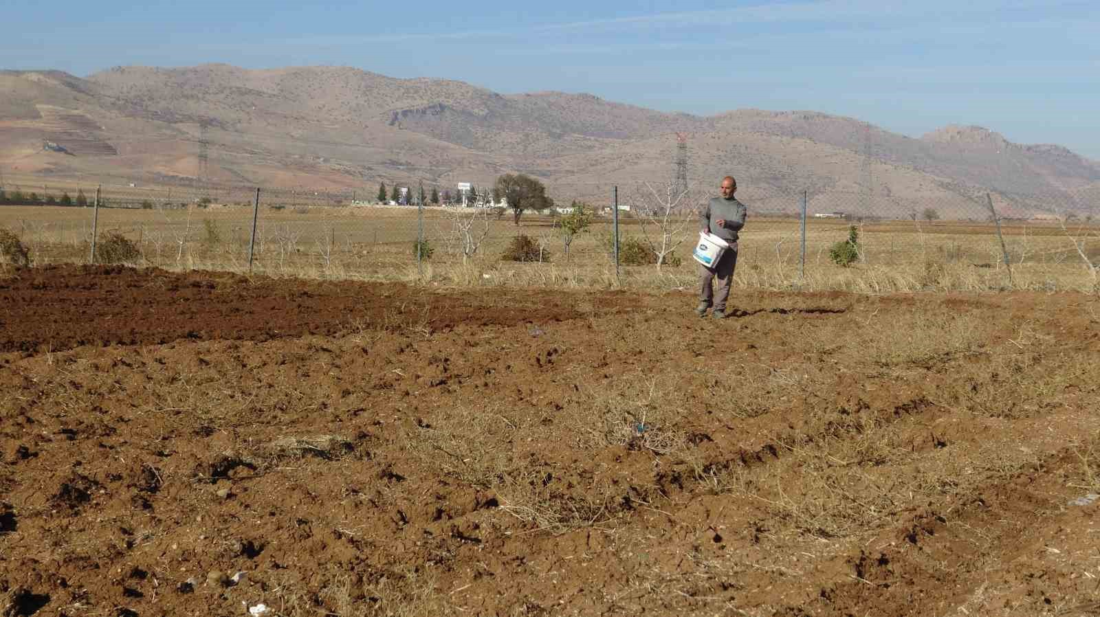 Gercüş’te çiftçiler tohumlarını toprakla buluşturuyor