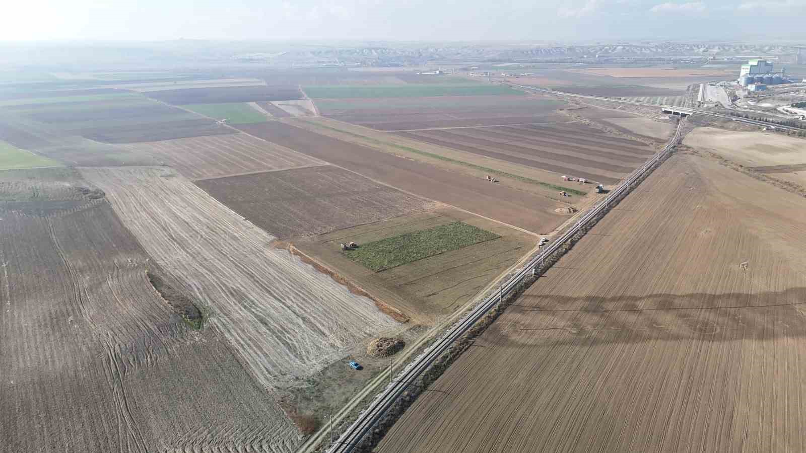 G&uuml;n doğmadan başlayan mesai s&uuml;r&uuml;yor: Ankara&rsquo;da şeker pancarı hasadı tempo kesmiyor
