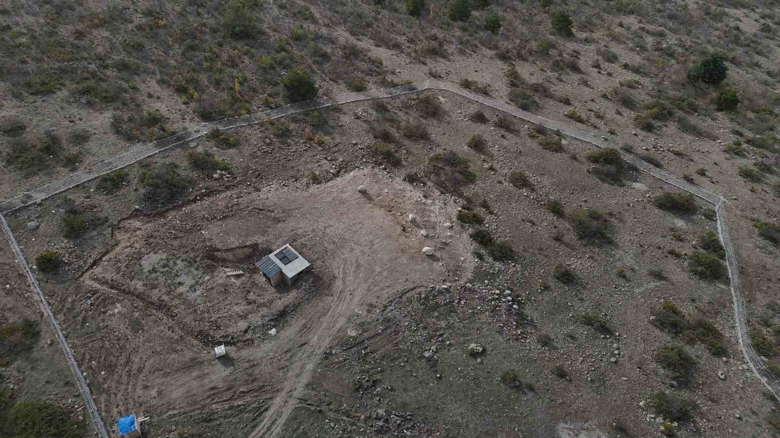 D&uuml;nyada sadece 3 yerde g&ouml;r&uuml;len doğa olayı: Akbabaların yiyecek d&ouml;ng&uuml;s&uuml;
