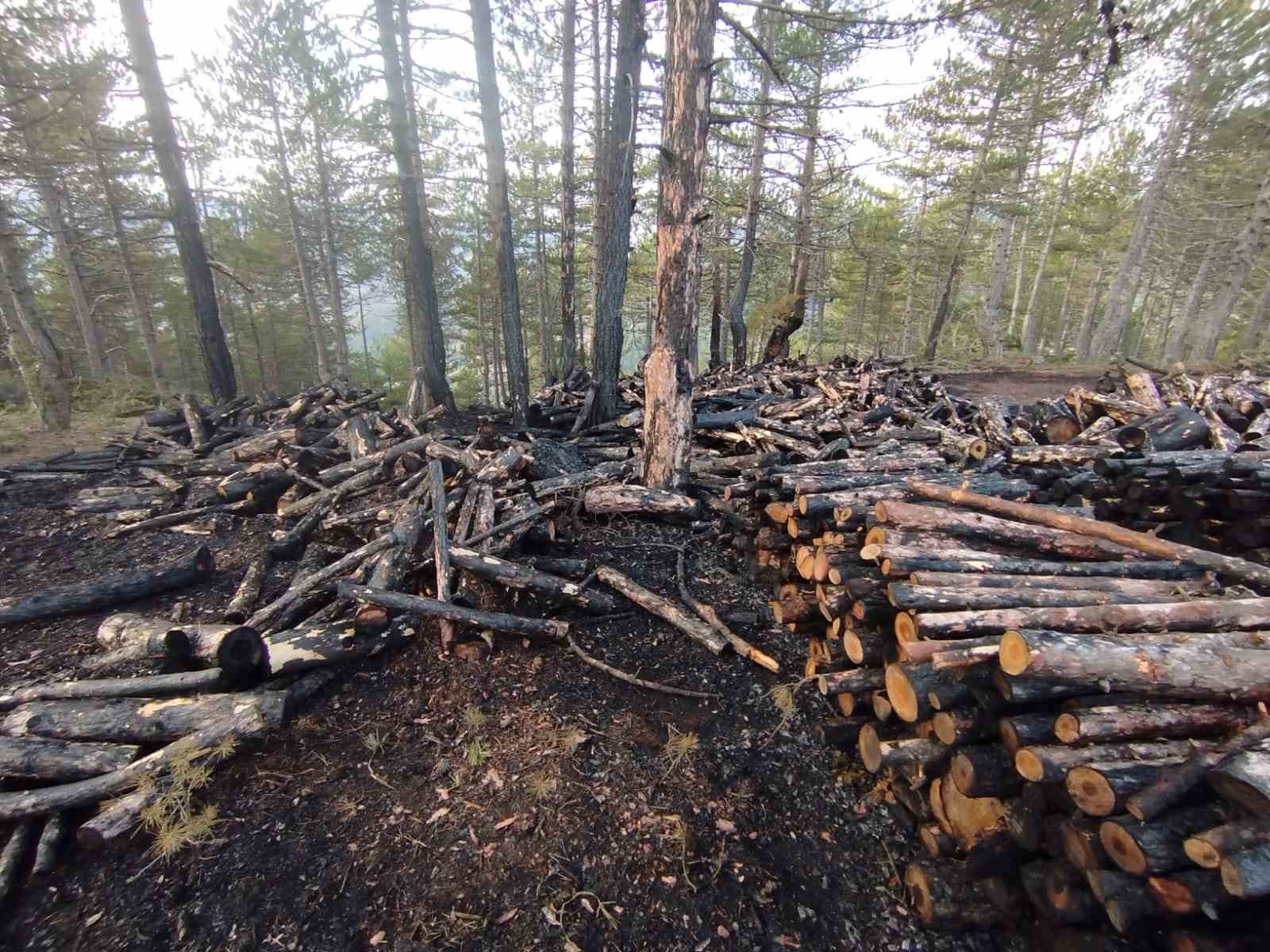 Kesim sahasında yangın paniği: 80 ster çam ağacı zarar gördü