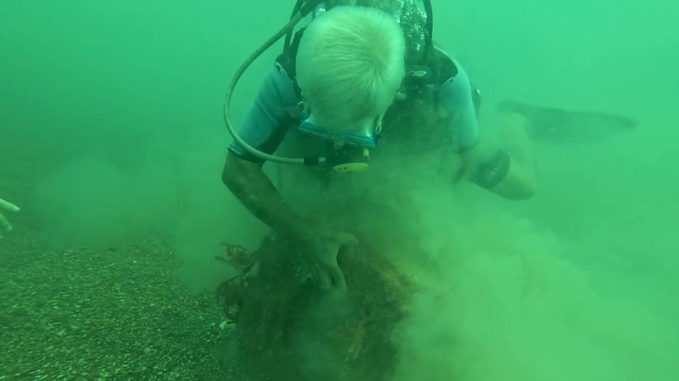 Profesör deniz dibinde taşlardan balıklara yuva yaptı: 12 tür barış içinde yaşıyor
