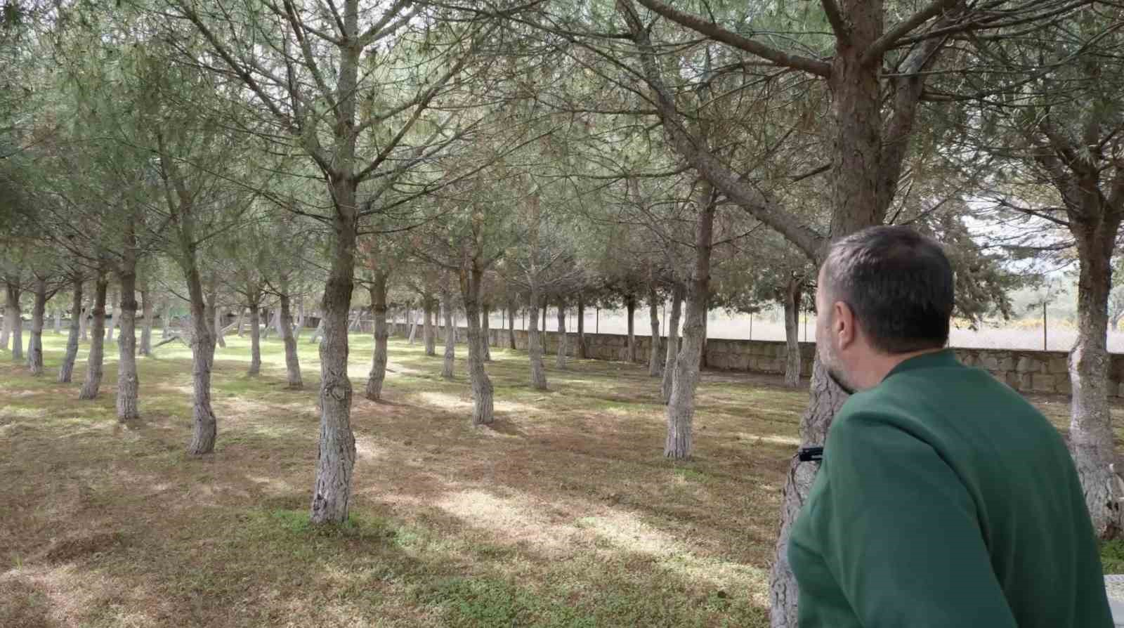 Ünlü komediyen Ata Demirer Çanakkale ve Bozcaada’ya olan aşkını anlattı

