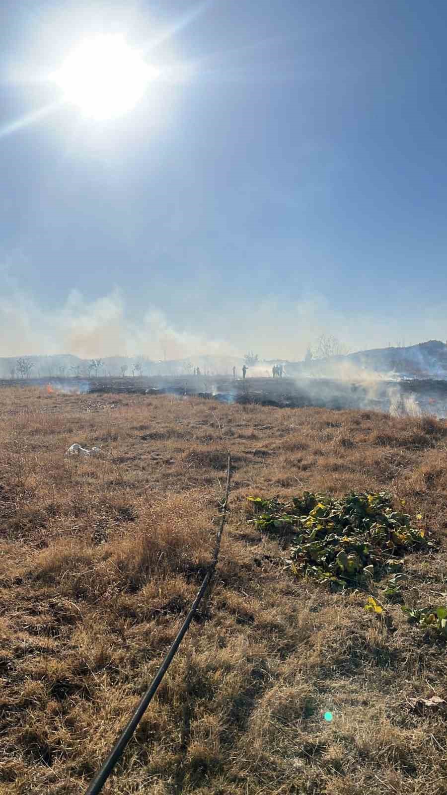 Tarlada çıkan yangın söndürüldü
