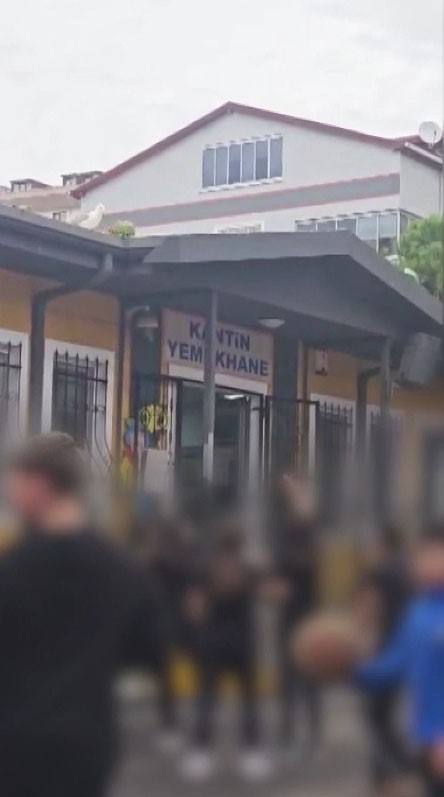 Toplar çatıya takılınca çözüm martıdan geldi: Öğrencilerin yeni "Top Kurtarıcısı" martı oldu