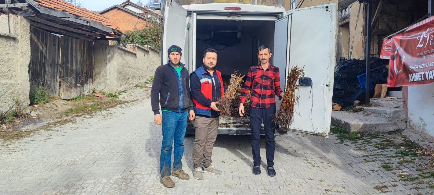 Domaniç’te çiftçilere yüzde 75 hibeli 3 bin adet ahududu fidanı dağıtıldı