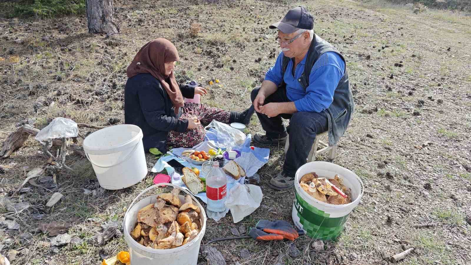 Hisarcık’ta yaşlı çiftin mantar mesaisi