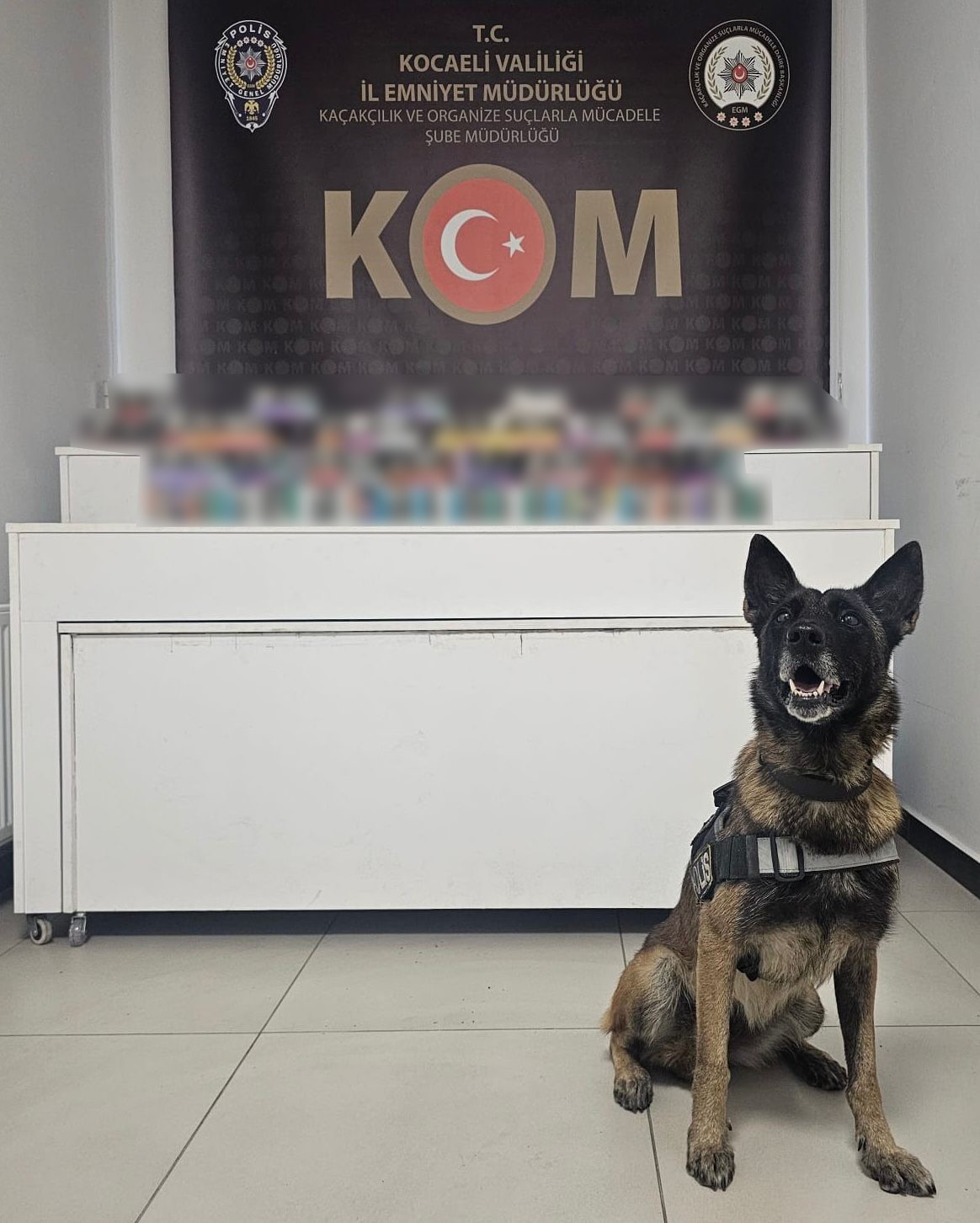 Kocaeli’de kaçakçılık operasyonunda 4 gözaltı