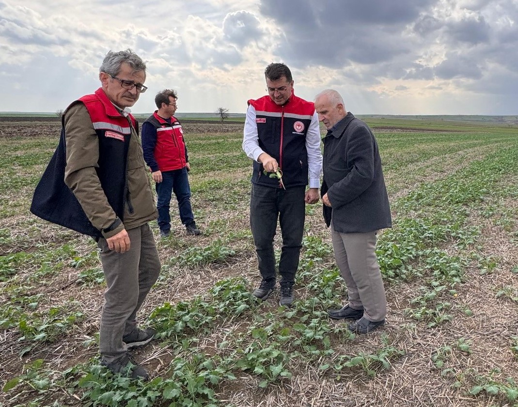Aksoy: "Anıza ekim, yağmurun emilimini artırır ve buharlaşmayı azaltarak rutubeti toprakta tutar"