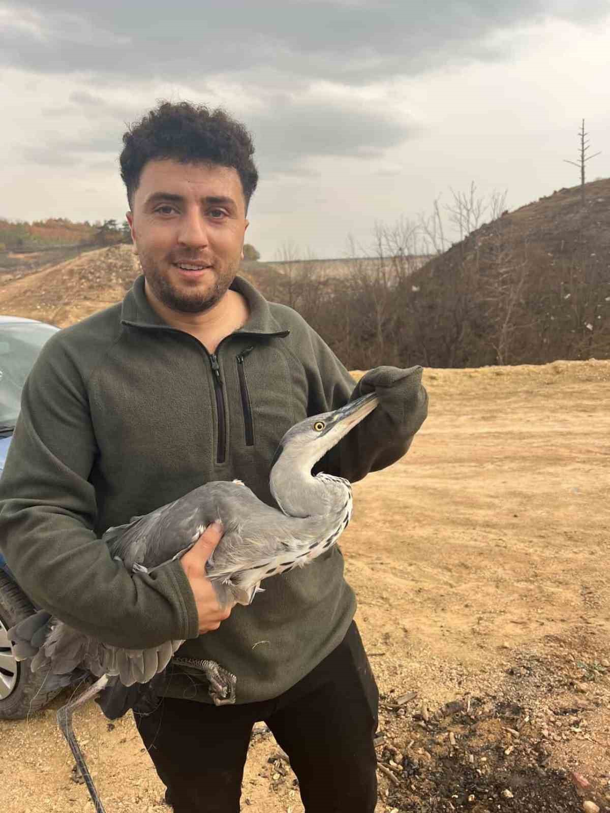 Mahsur kalan mavi balıkçıl kuşunu doğa gezisine çıkan gençler kurtardı