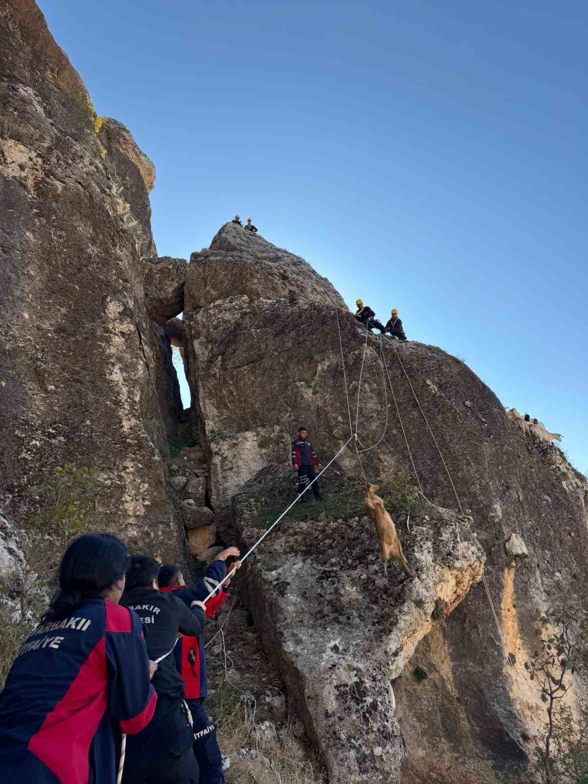 Kayalıklarda mahsur kalan 25 ke&ccedil;i kurtarıldı
