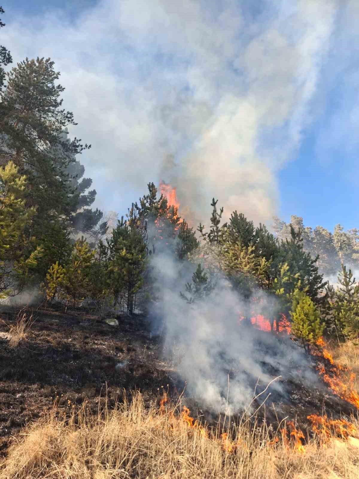 Erzurum&rsquo;da orman yangını
