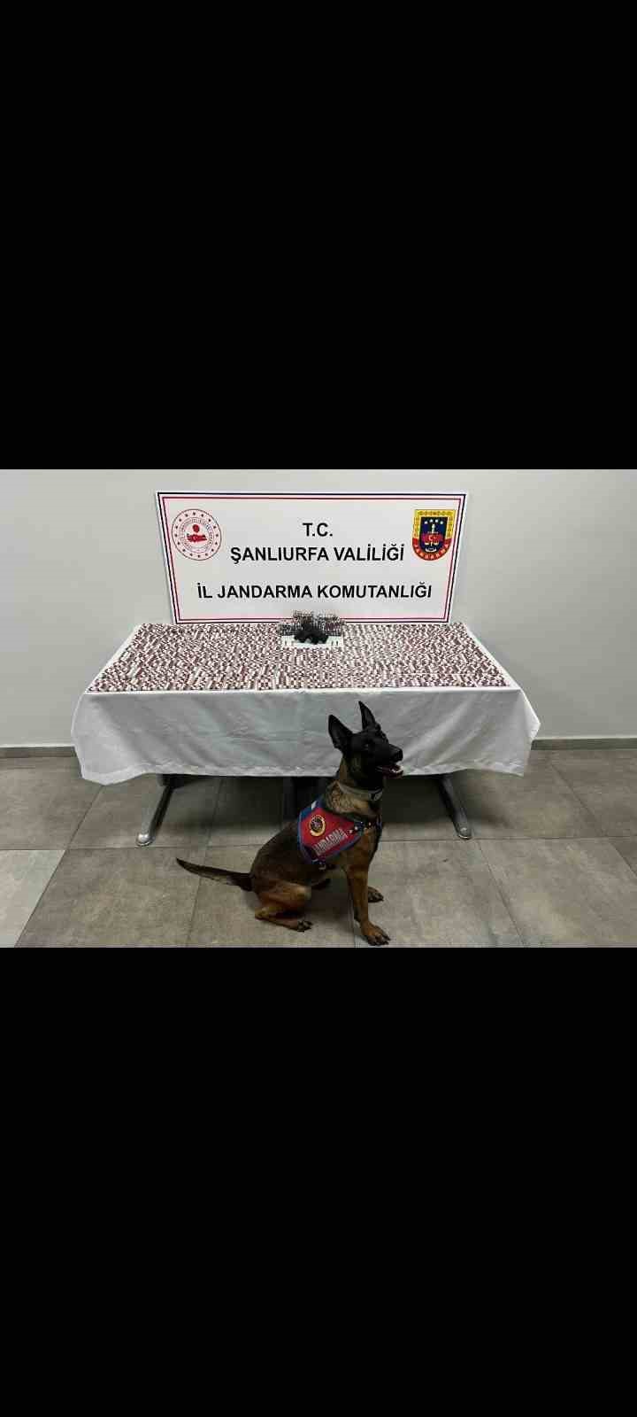 Şanlıurfa’da uyuşturucu operasyonu: 2 gözaltı