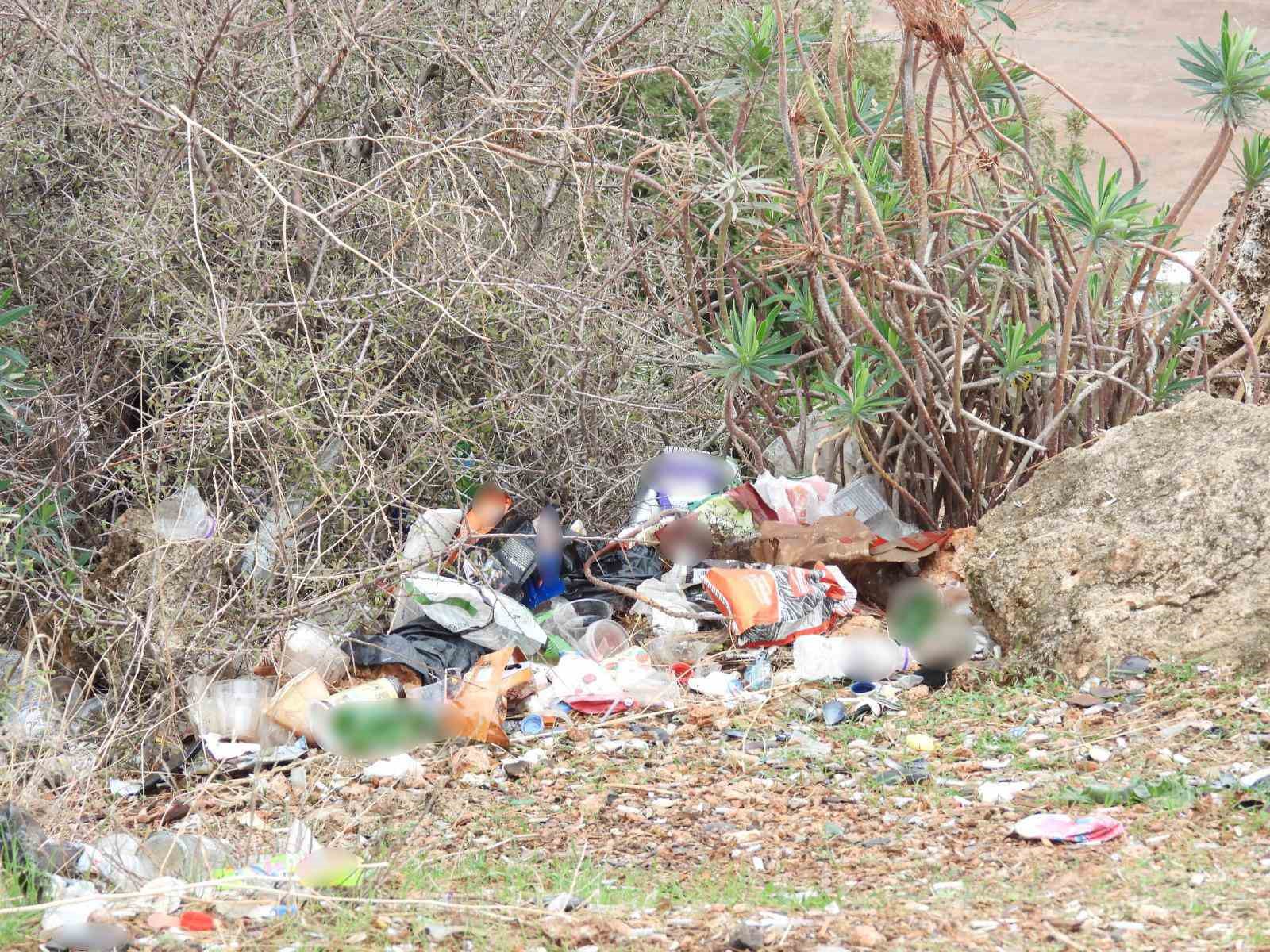 &Uuml;&ccedil; hafta &ouml;nce 60 &ccedil;uval &ccedil;&ouml;p toplanan caddeden bu sefer 80 &ccedil;uval &ccedil;&ouml;p &ccedil;ıktı
