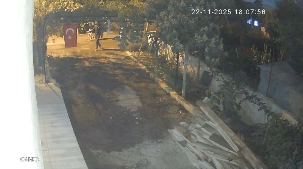 Sahibinin ’Yetiştirmek kolay değil’ dediği mavi yumurtlayan 5 tavuğu tişörtün içerisine koyarak çaldı