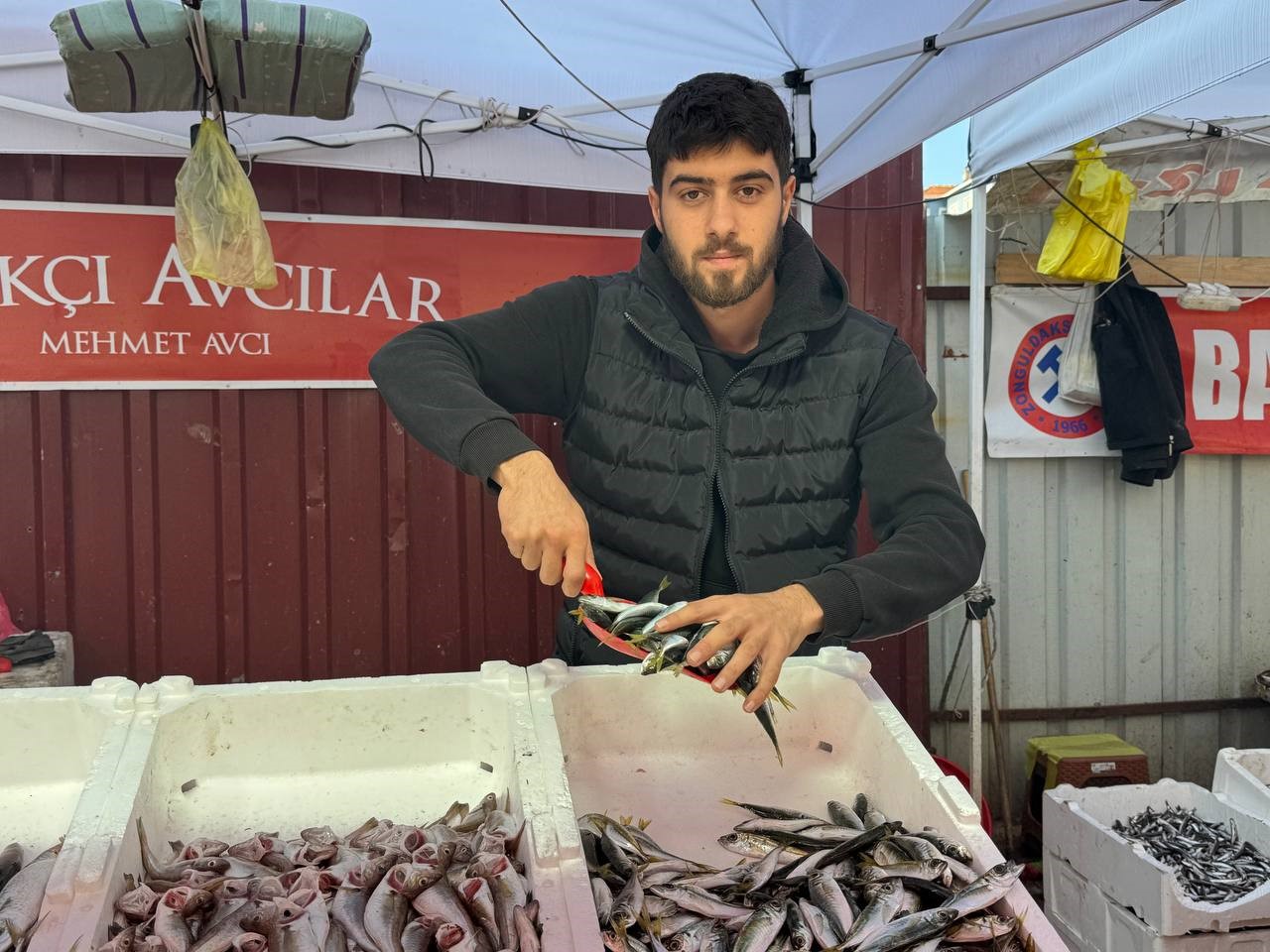 Zonguldak’ta tezgahtaki hamsi yerini diğer çeşit balıklara bırakıyor
