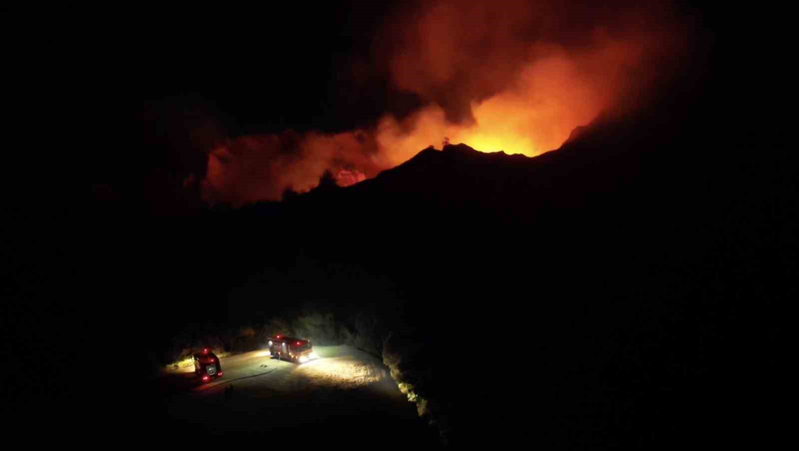 Orman Genel Müdür Yardımcısı Yüzer: "Çanakkale yangınlardan en çok etkilenen illerimizden bir tanesi"
