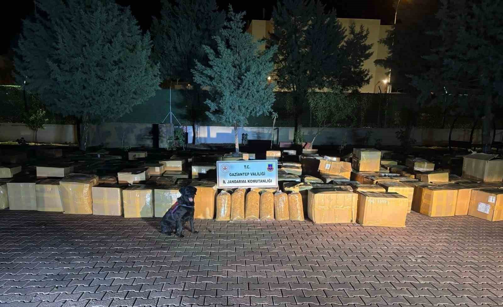 Gaziantep’te 7 ton kaçak tütün ele geçirildi: 1 gözaltı
