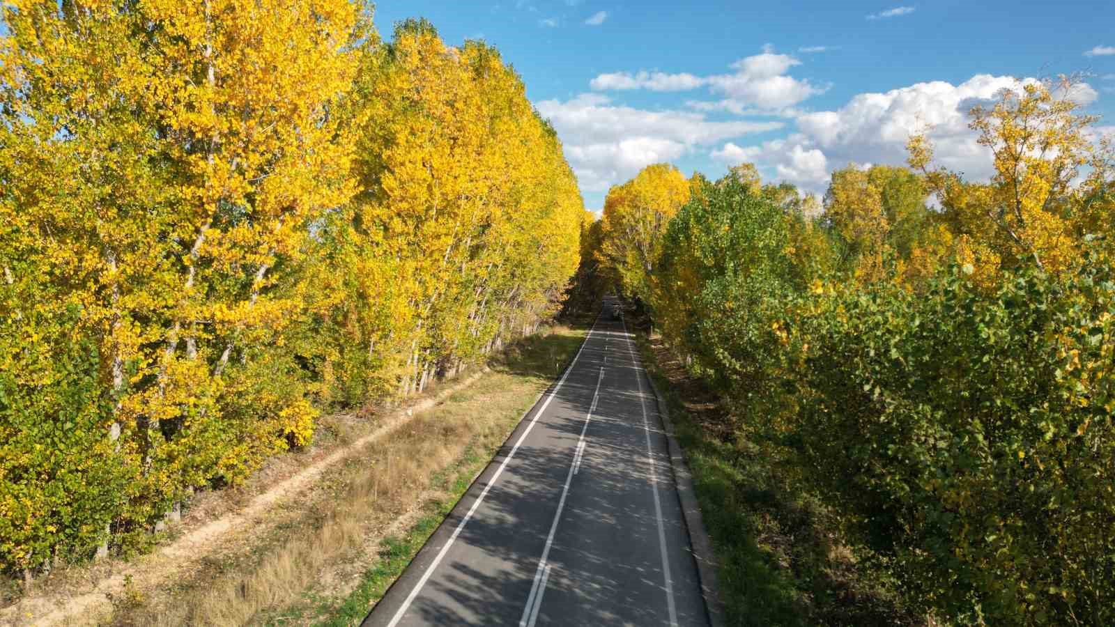 Tokat’ta belediyenin yaprakları temizlemediği parklarda renk cümbüşü oluştu