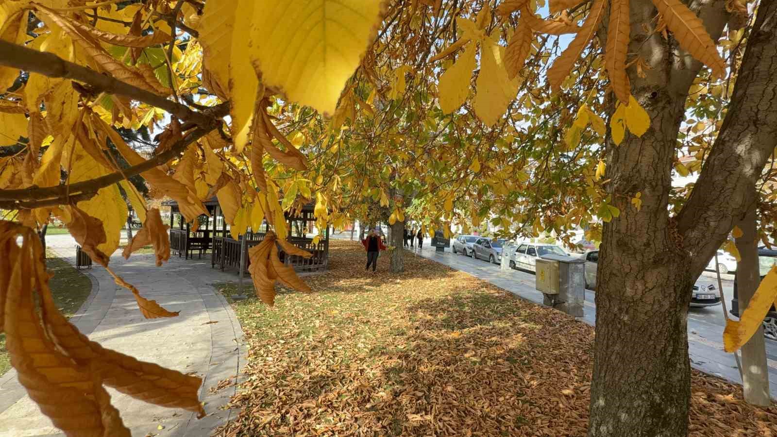 Tokat’ta belediyenin yaprakları temizlemediği parklarda renk cümbüşü oluştu

