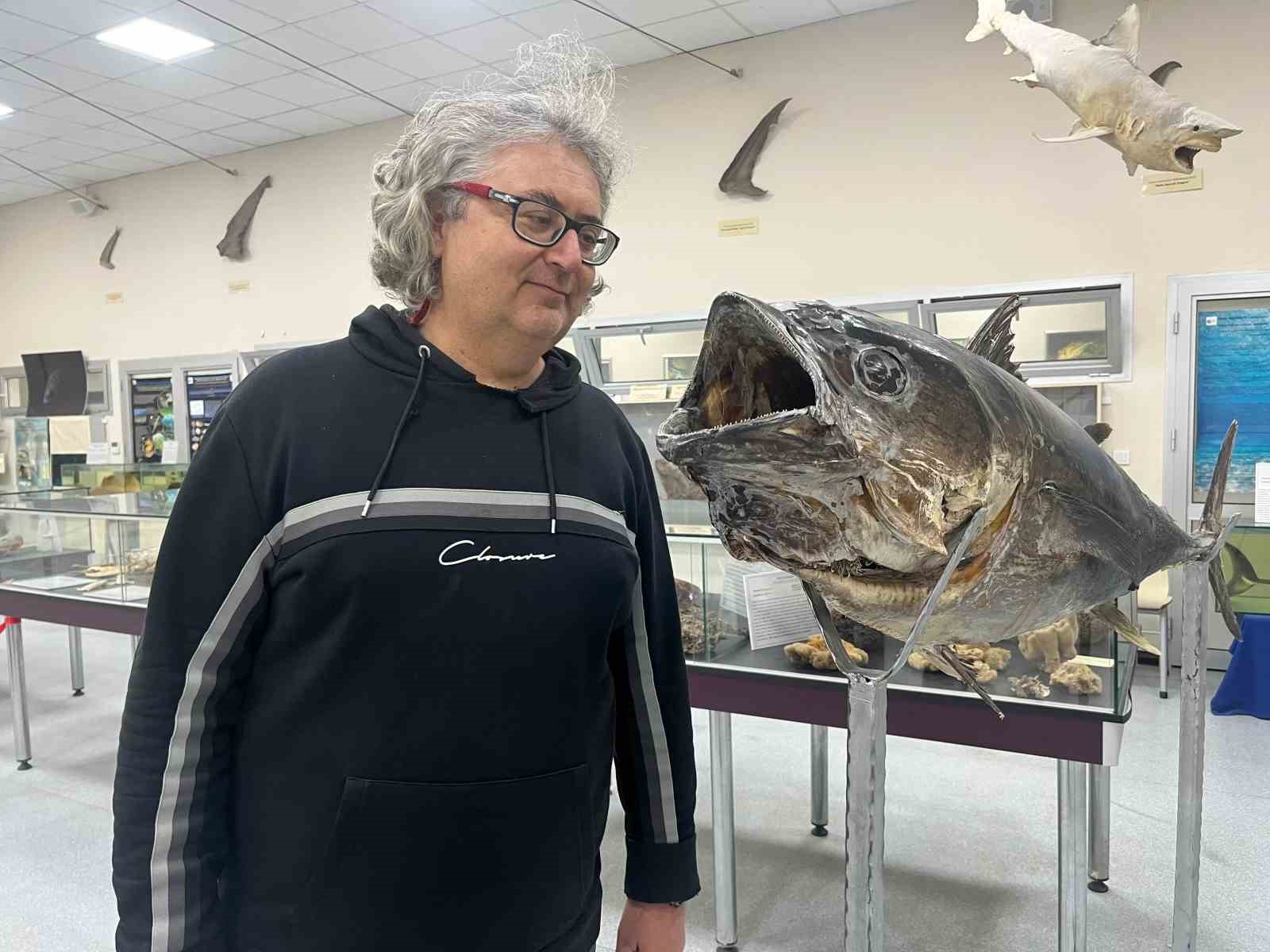 Balık sevdası &lsquo;Deniz Canlıları Koleksiyon Merkezi&rsquo;nde hayat buldu
