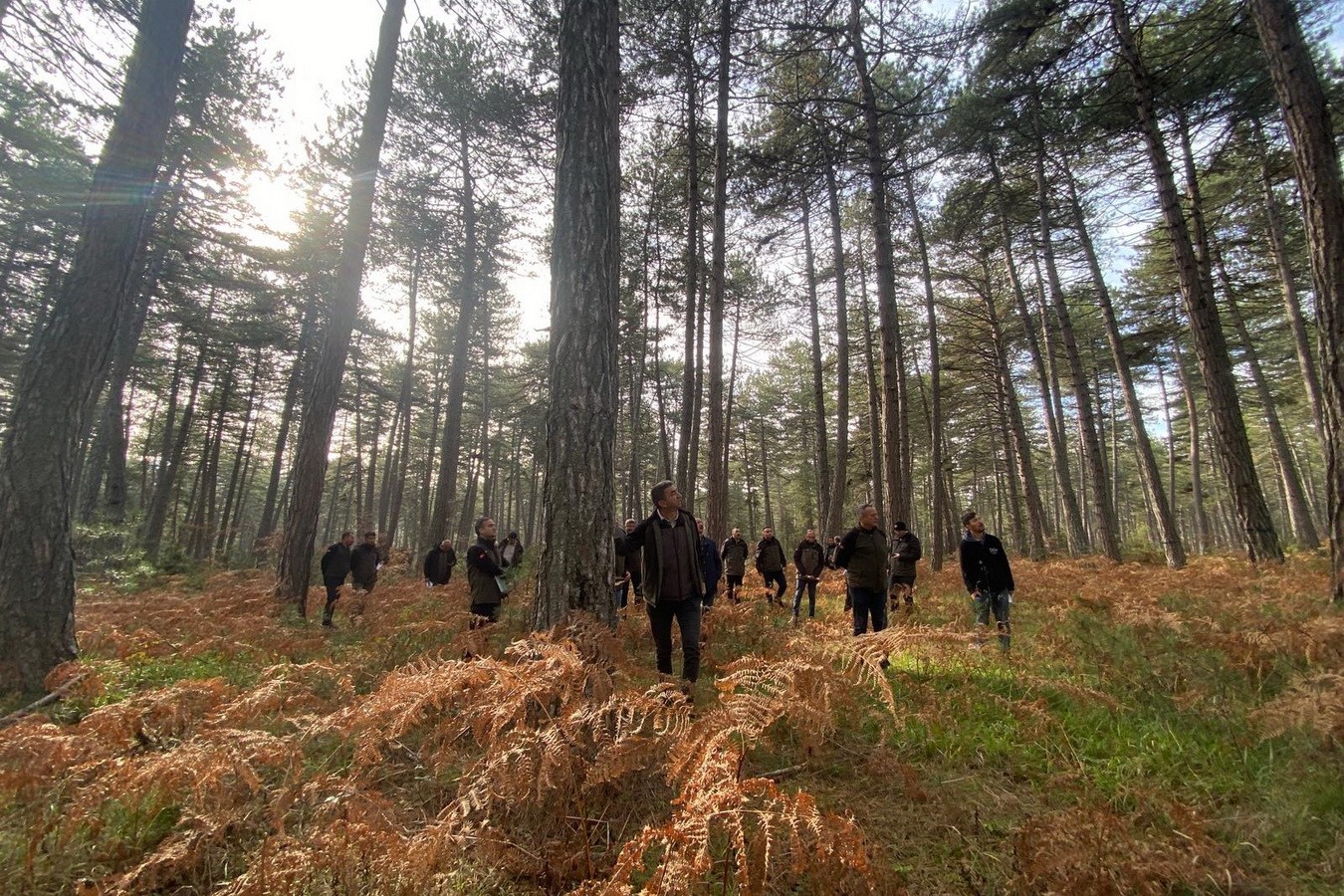 Bolu’da sağlıklı ormanlar için ekipler sahaya indi