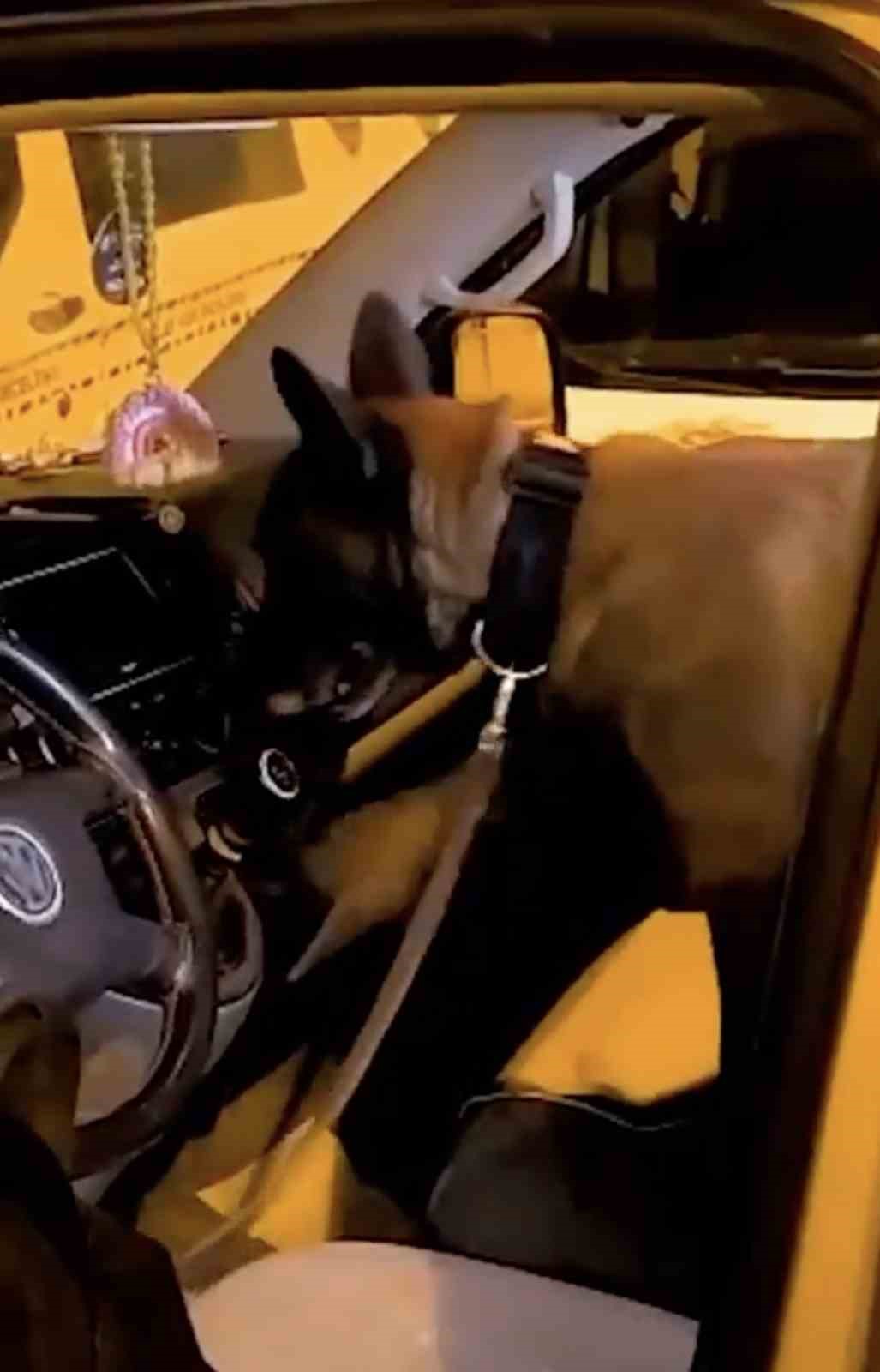 Çanakkale’de gerçekleştirilen denetimlerde 2 şahıs tutuklandı