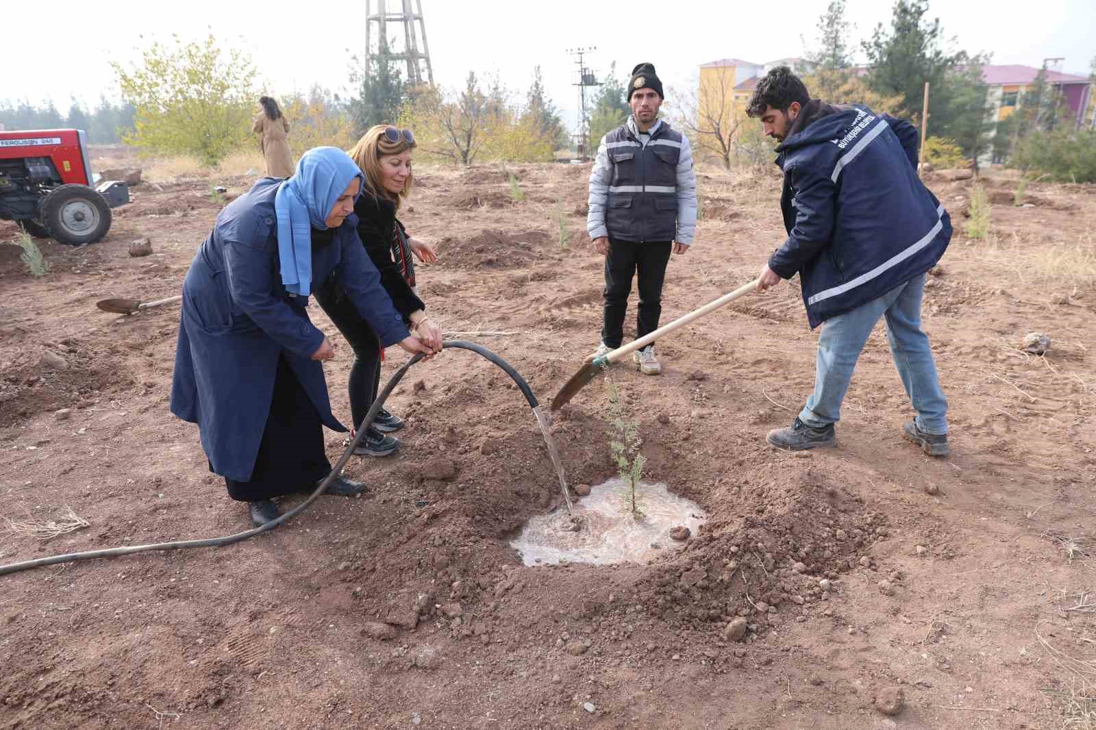 Kadına y&ouml;nelik şiddete dikkat &ccedil;ekmek amacıyla fidan dikim etkinliği yapıldı
