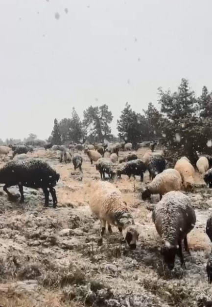 Mersin’in yüksek rakımlı bölgelerinde kar yağışı