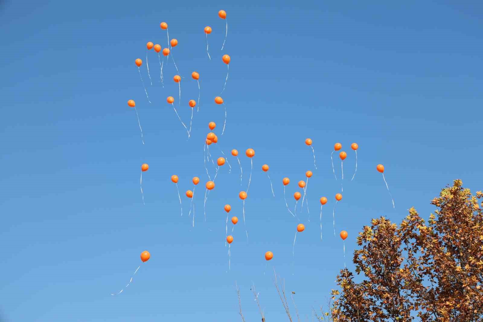 Turuncu balonlar gökyüzüne bırakıldı
