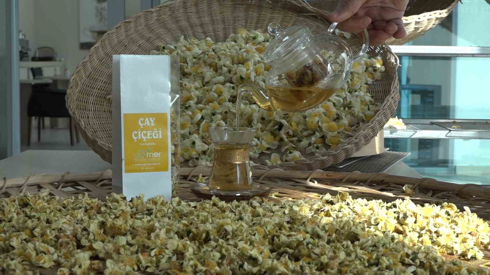 Çayın yeni ürünü ‘Çay çiçeği çayı’ 6 bin TL’den satılıyor