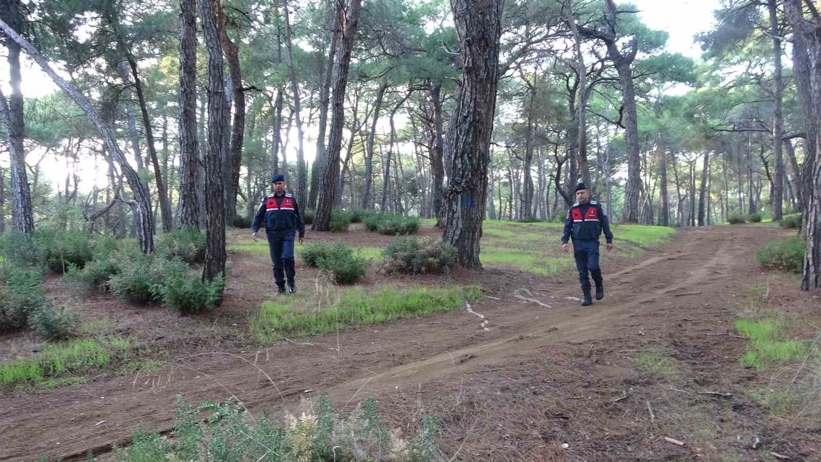 Jandarmadan ormanlık alanlarda kangal ve ateş n&ouml;beti
